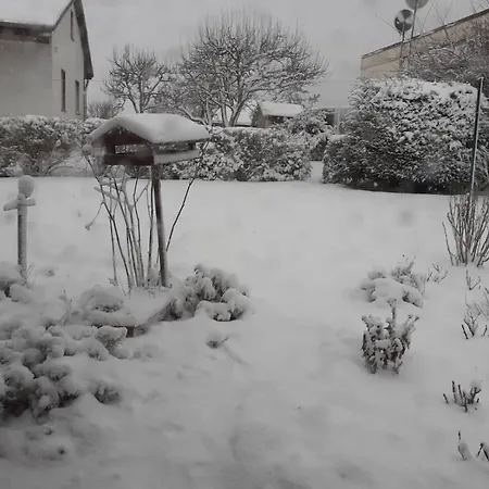 Ales Ursula Sokolowski Zerf